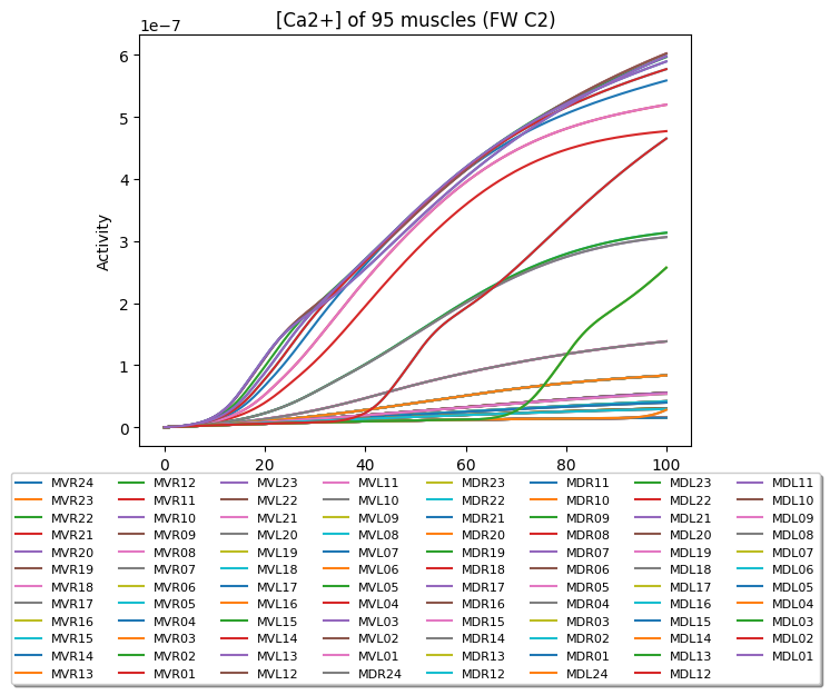 Muscle activation over time